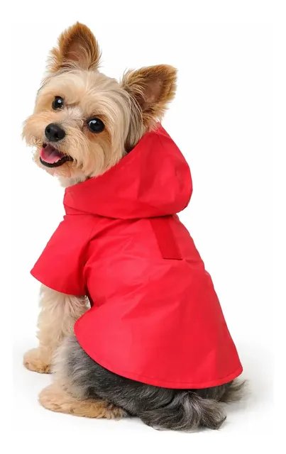 Capa De Chuva Pet G Impermeável Para Cachorros Grandes