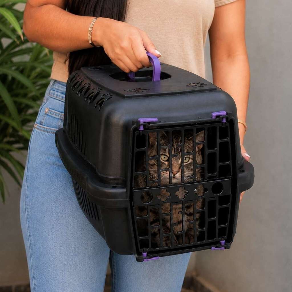 Caixa Transporte Grande Pequena Média Gato Cachorro Animais Pet Cães Bolsa Casa N1 N2 N3
