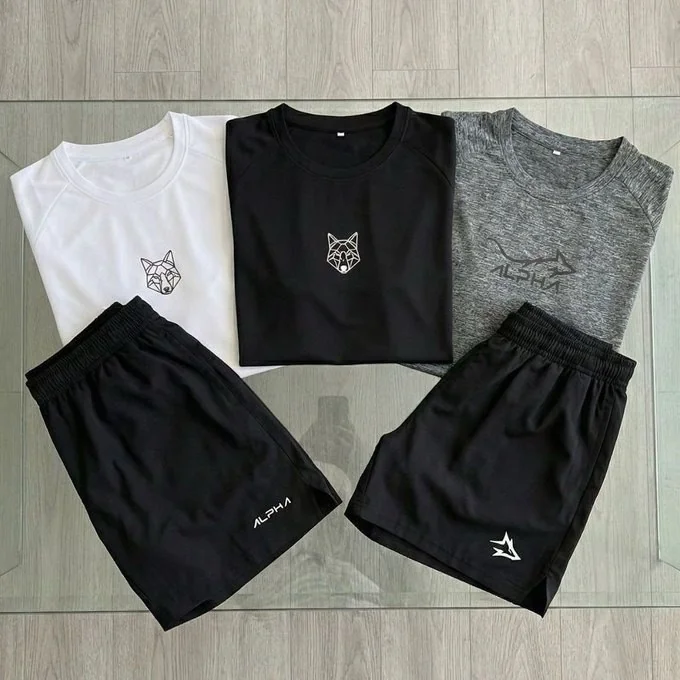 Kit 5 Peças Dry Fit 3 Camisetas e 2 Bermudas Alpha Co