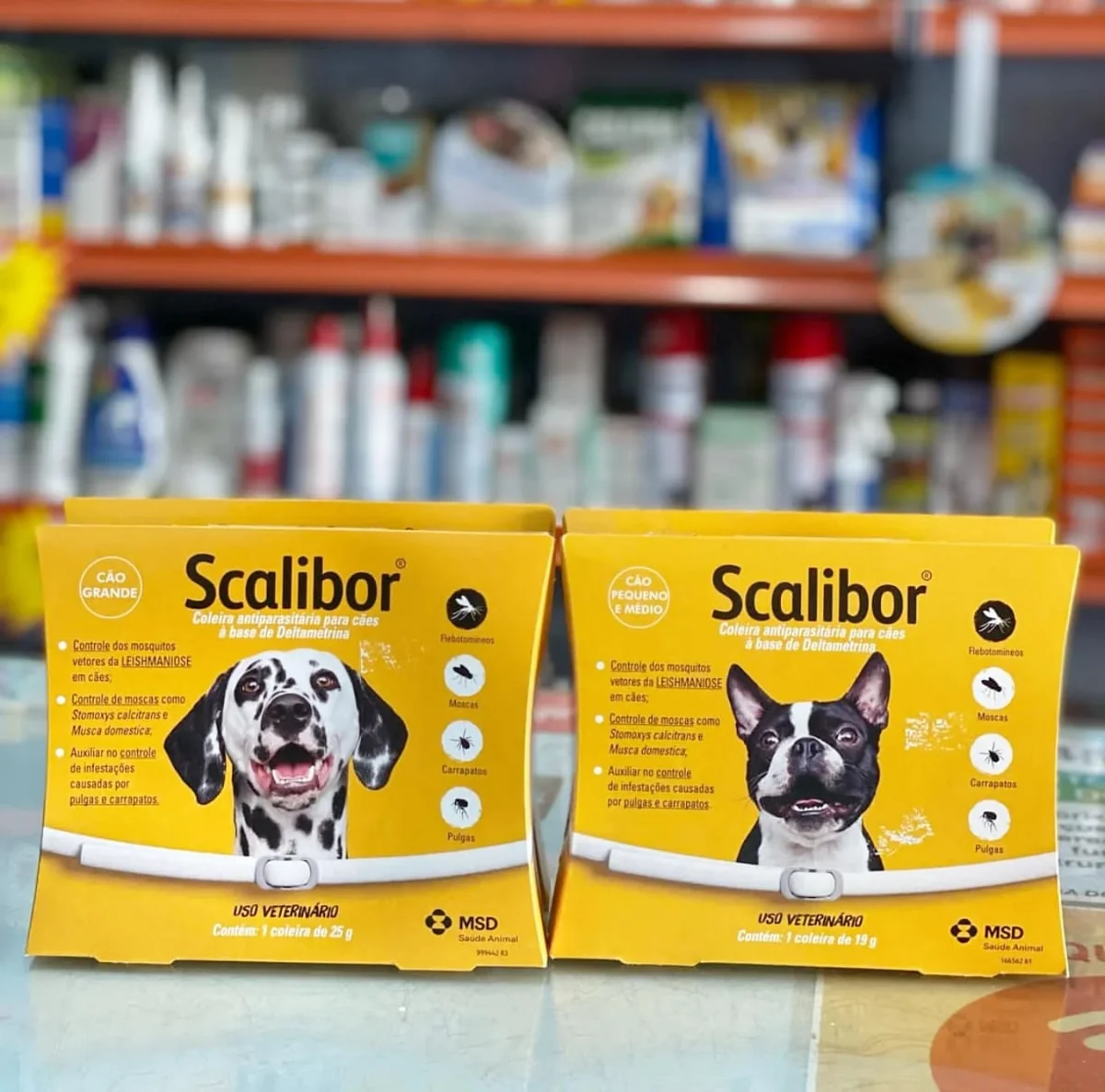 Desconto entra selecionando a opção em recorrência